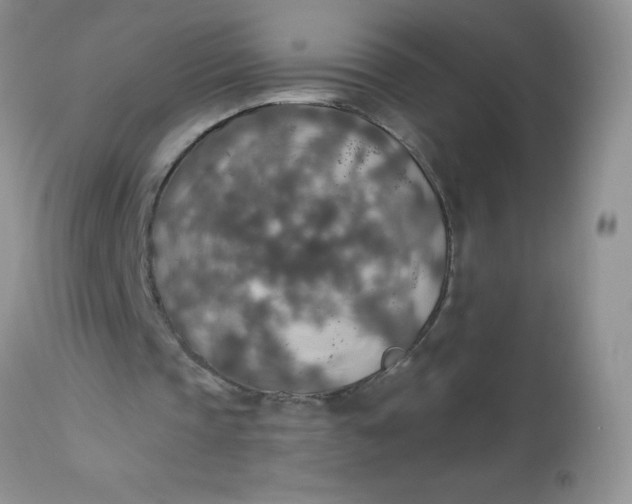 X0000113570337200910091444