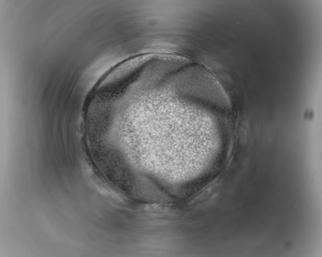 X0000113570338200910091444