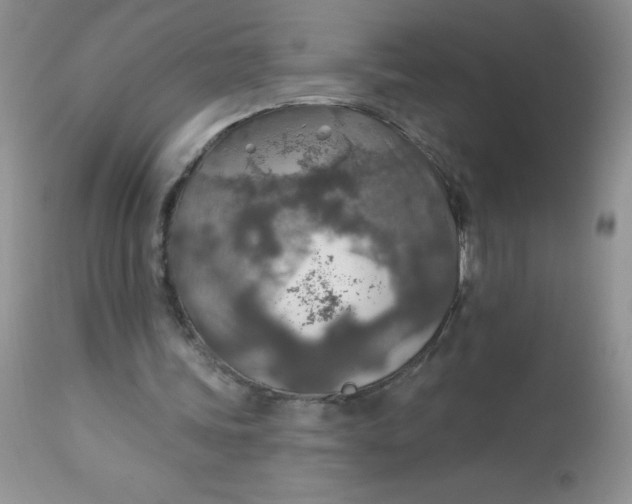 X0000113570339200910091444