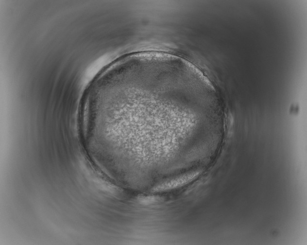 X0000113570340200910091444