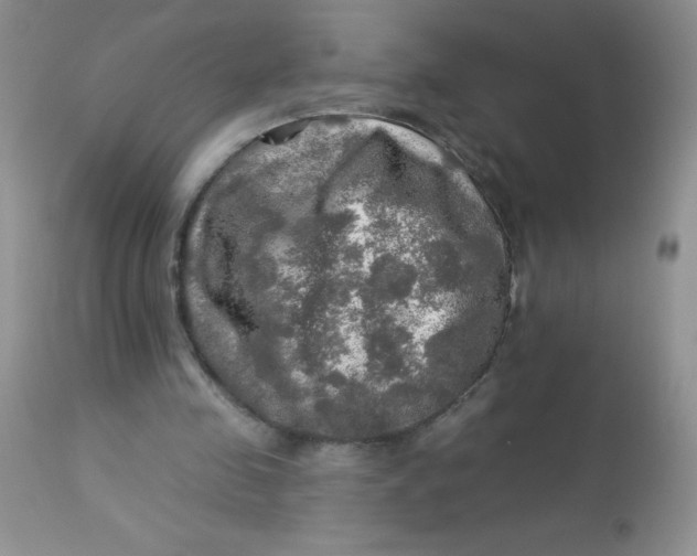 X0000113570341200910091444