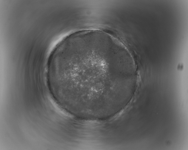 X0000113570342200910091444