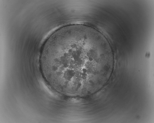 X0000113570346200910091444