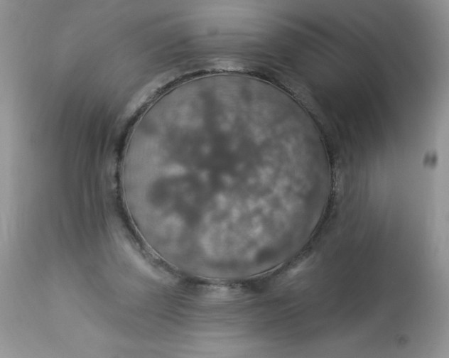 X0000113570347200910091444