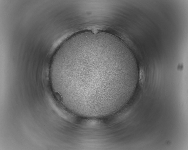 X0000113570348200910091444