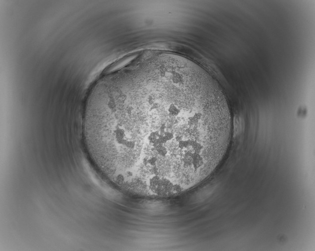 X0000113570349200910091444