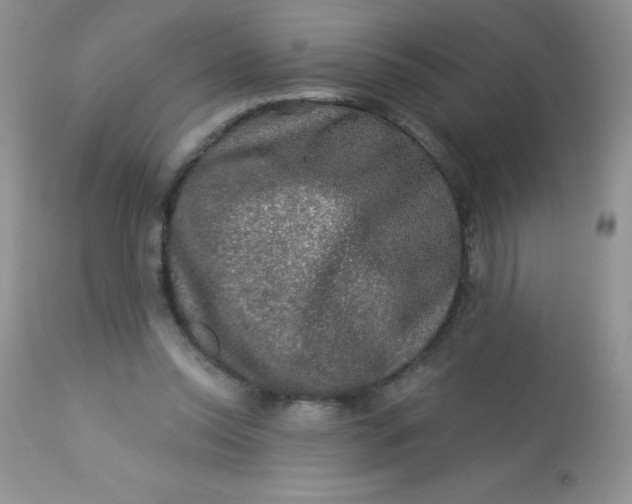 X0000113570350200910091444