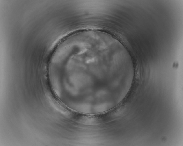 X0000113570351200910091444