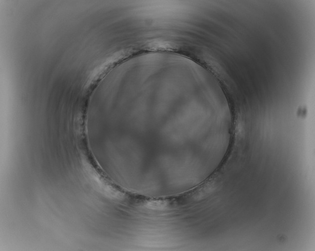 X0000113570353200910091444