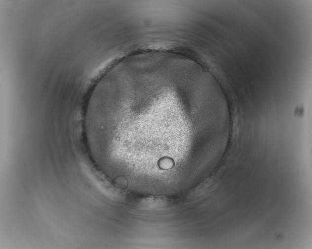 X0000113570354200910091444