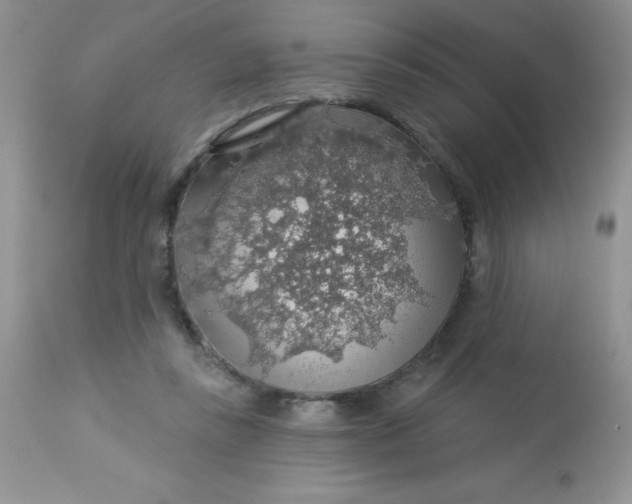 X0000113570355200910091444