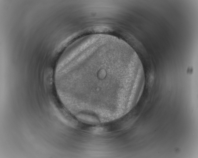 X0000113570356200910091444