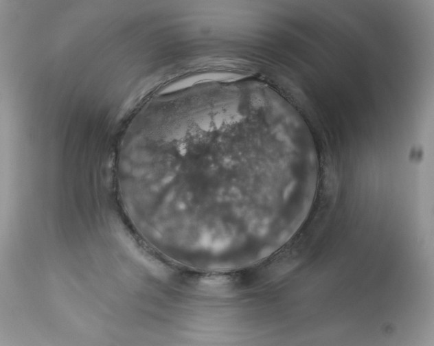 X0000113570357200910091444