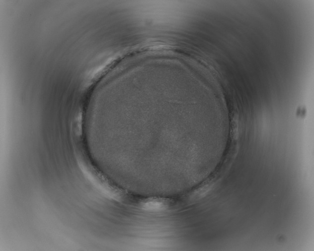 X0000113570358200910091444