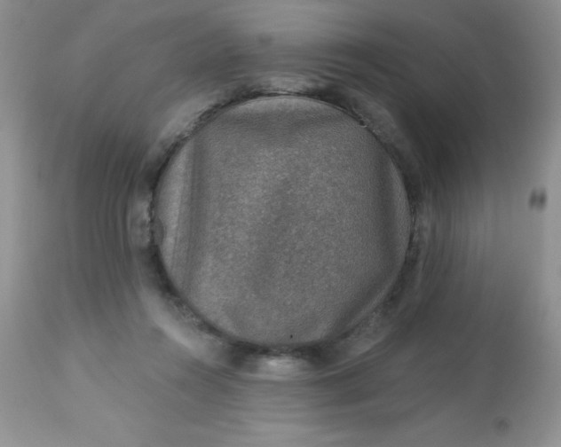 X0000113570360200910091444