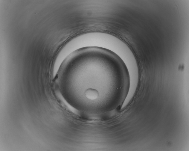 X0000113570362200910091444