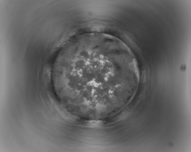 X0000113570363200910091444