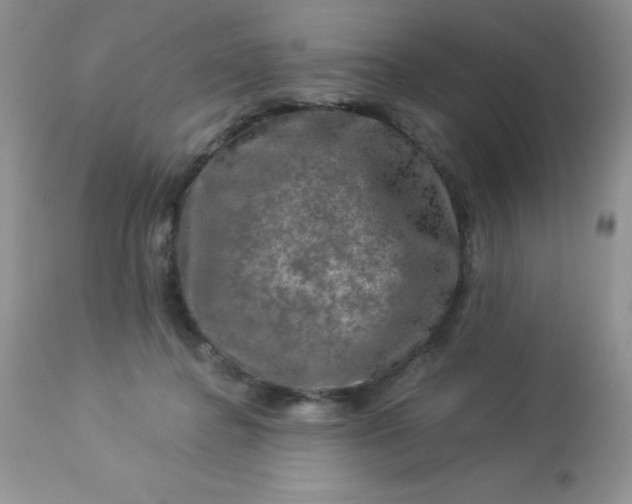 X0000113570364200910091444