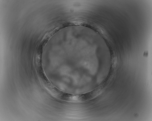 X0000113570365200910091444