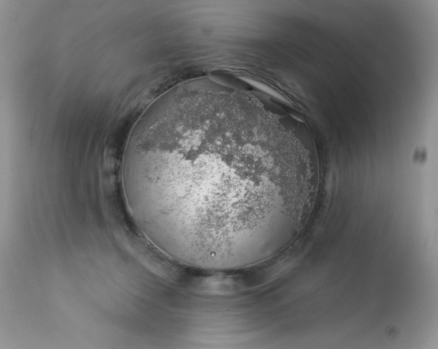 X0000113570366200910091444