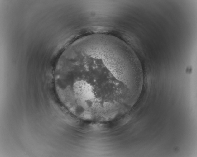 X0000113570367200910091444