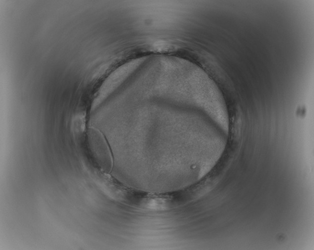 X0000113570368200910091444