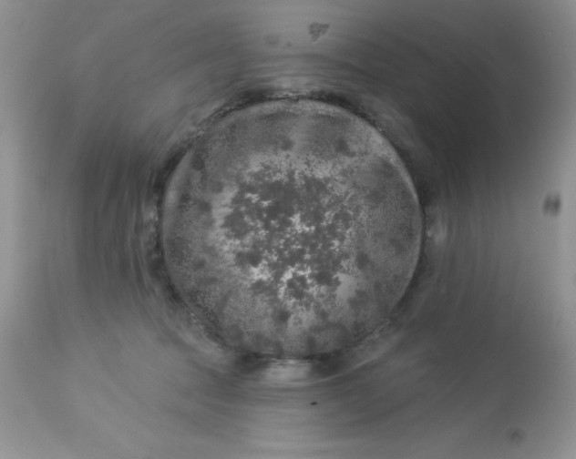 X0000113570369200910091444