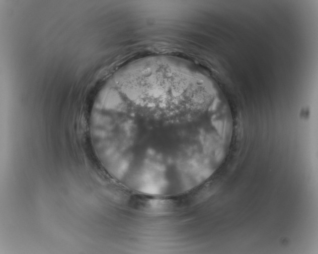 X0000113570371200910091444