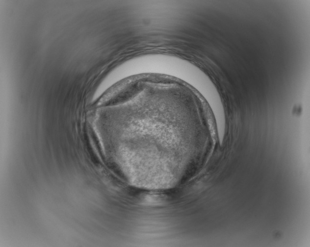 X0000113570372200910091444