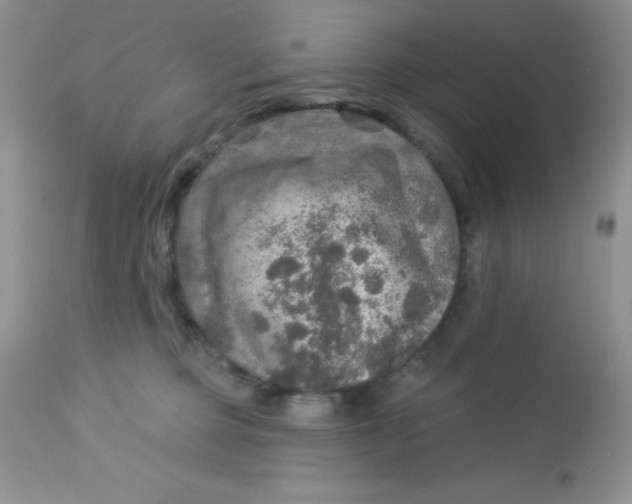 X0000113570373200910091444