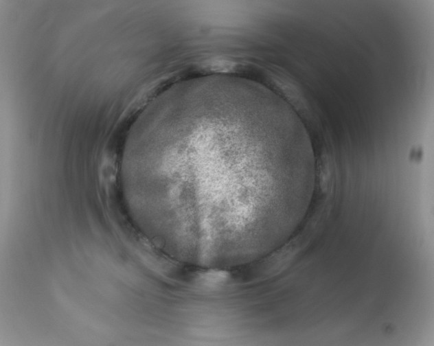 X0000113570374200910091444