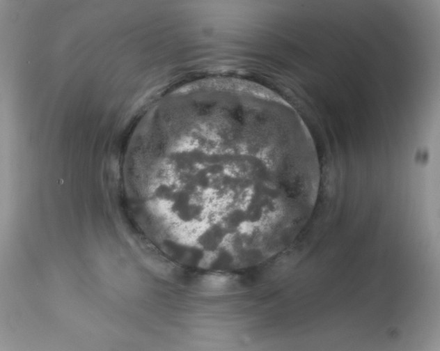 X0000113570375200910091444