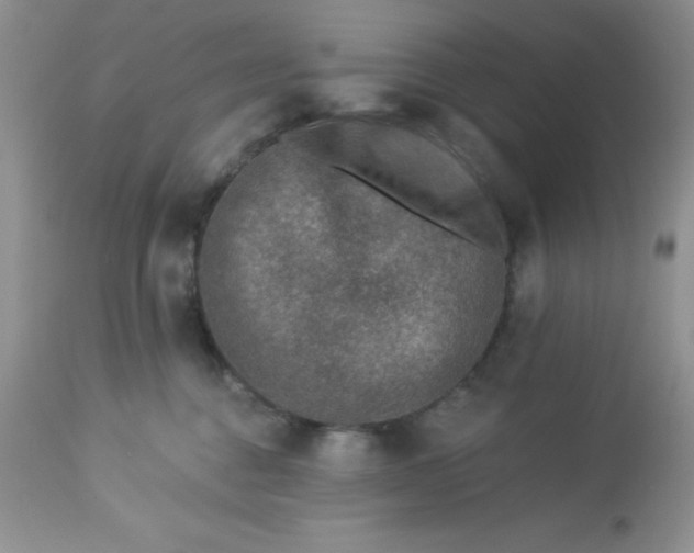 X0000113570376200910091444