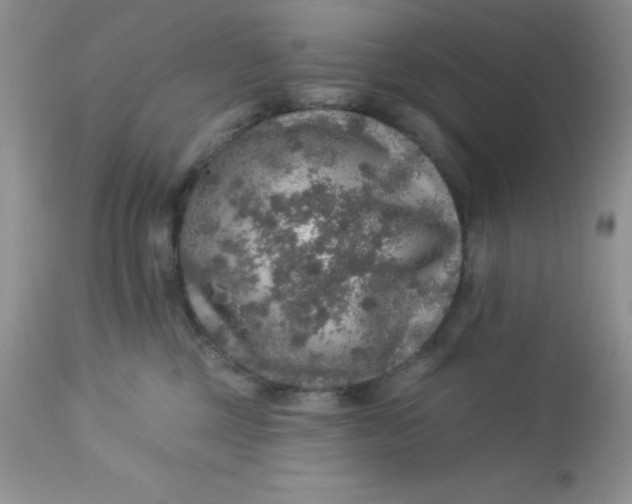 X0000113570377200910091444