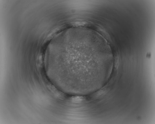 X0000113570378200910091444