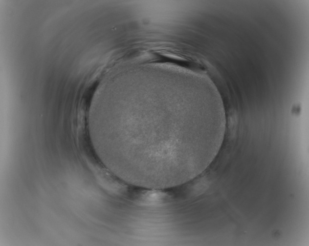 X0000113570379200910091444