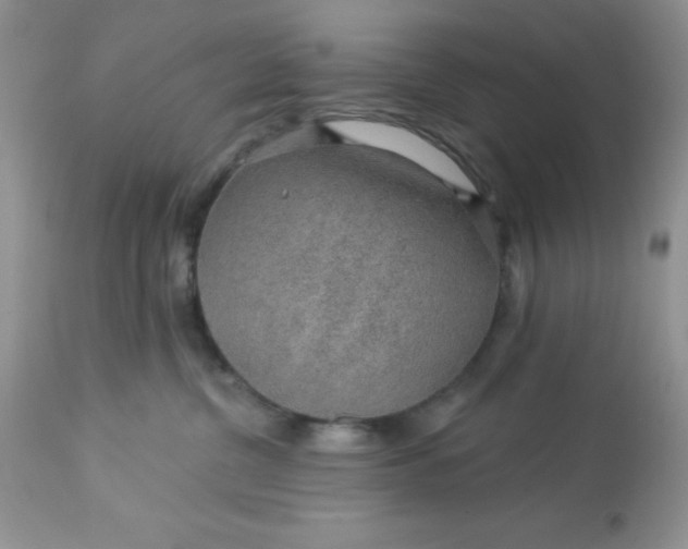 X0000113570380200910091444