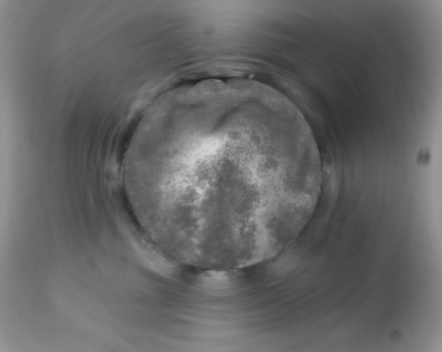 X0000113570381200910091444