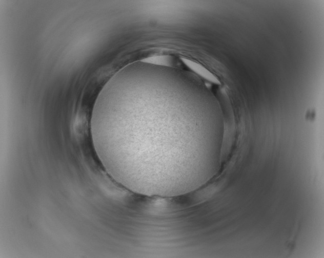 X0000113570382200910091444