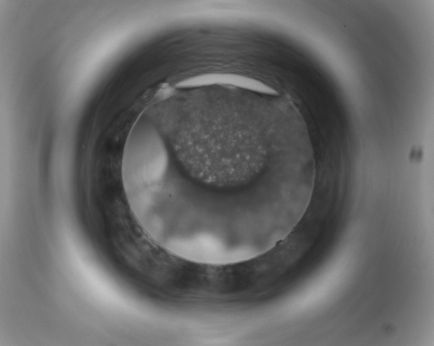 X0000113570383200910091444