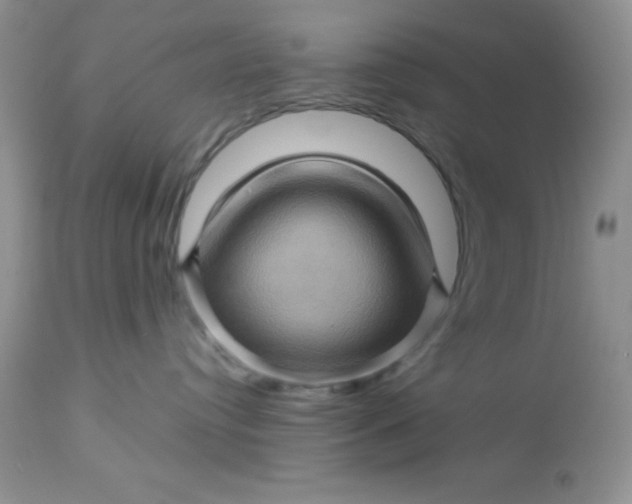 X0000113570384200910091444