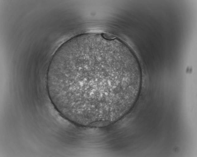 X0000113570385200910091444