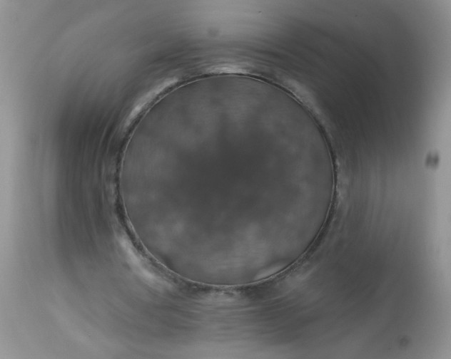 X0000113570386200910091444