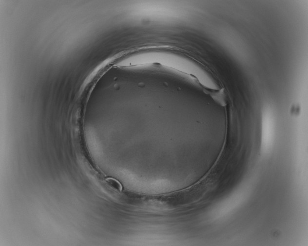 X0000113570387200910091444