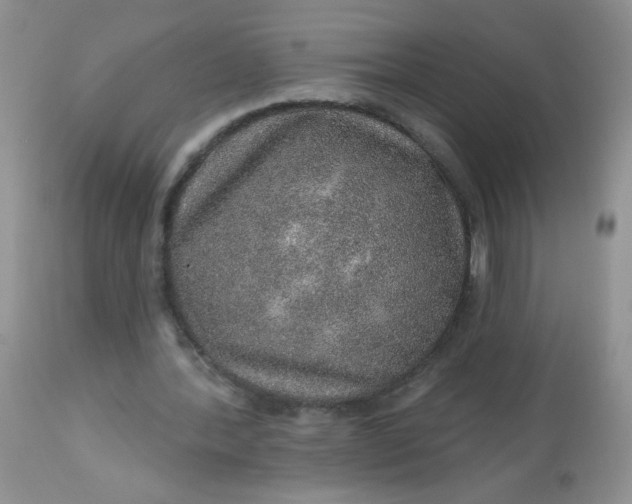 X0000113570388200910091444