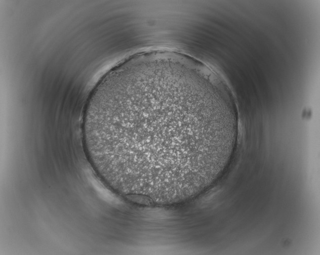 X0000113570389200910091444