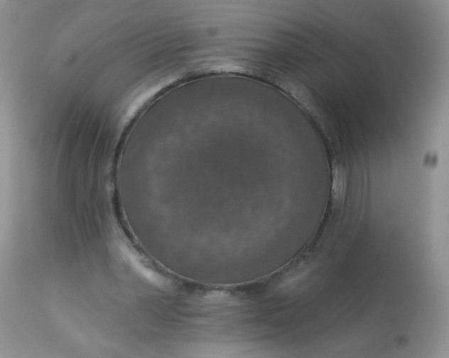 X0000113570390200910091444