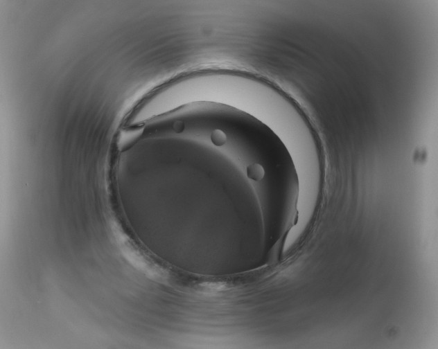 X0000113570391200910091444