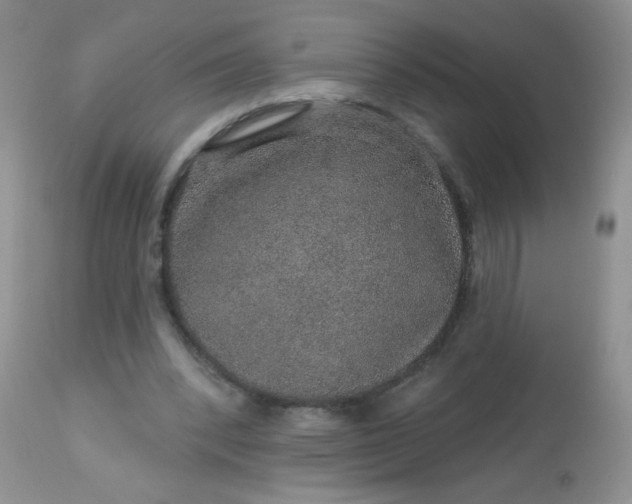 X0000113570392200910091444