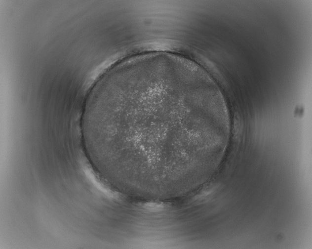 X0000113570394200910091443